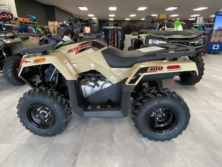 2024 Arctic Cat ALTERRA 300 2X4