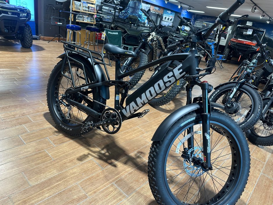 VAMOOSE ODIN V  2024