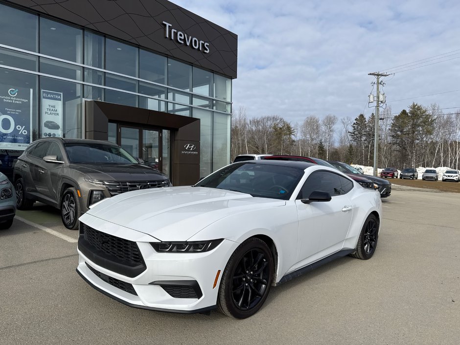 Ford Mustang  2024 à Miramichi, Nouveau-Brunswick