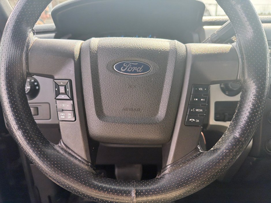 Ford F-150  2013-8