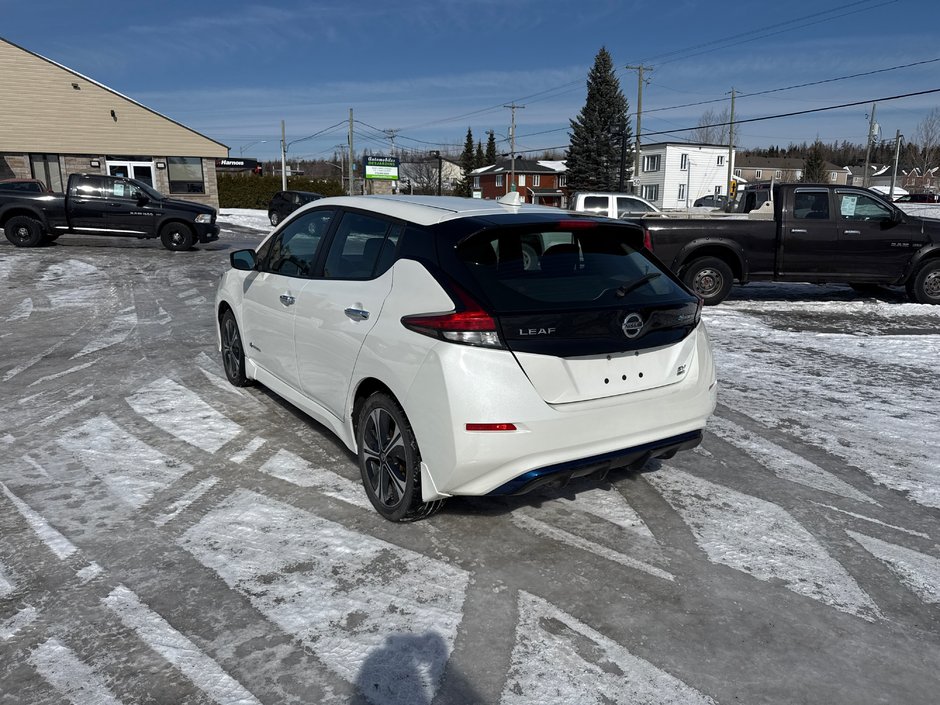 Nissan LEAF  2019-4