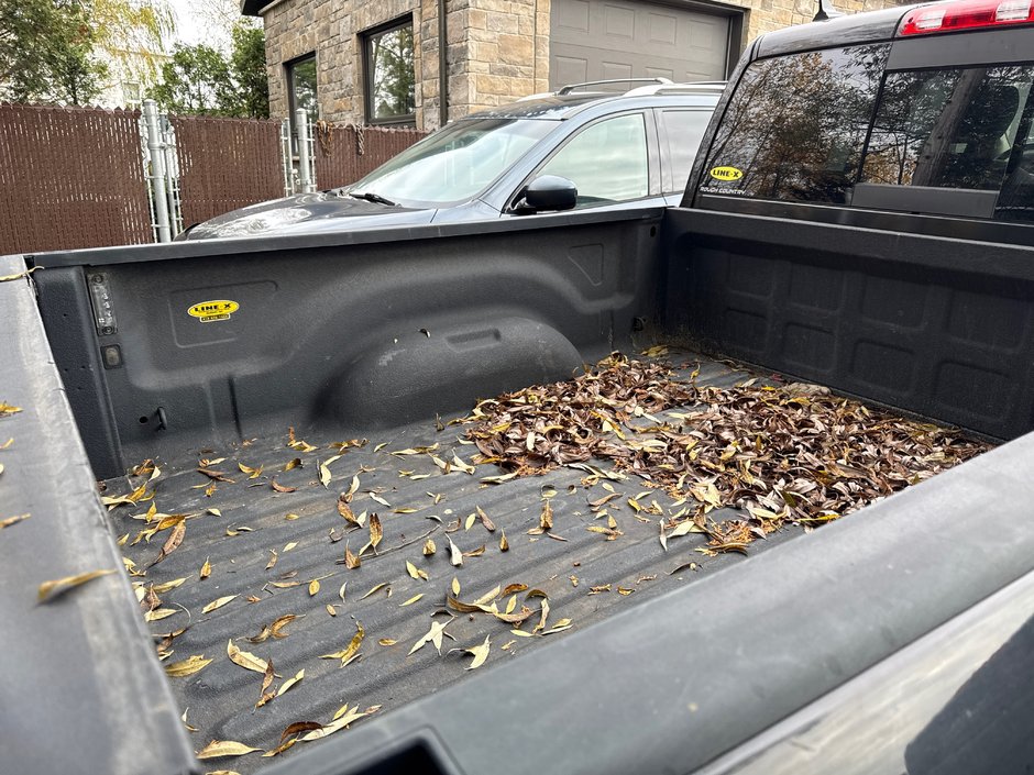 Ram 1500 OUTDOORMAN 2018-7