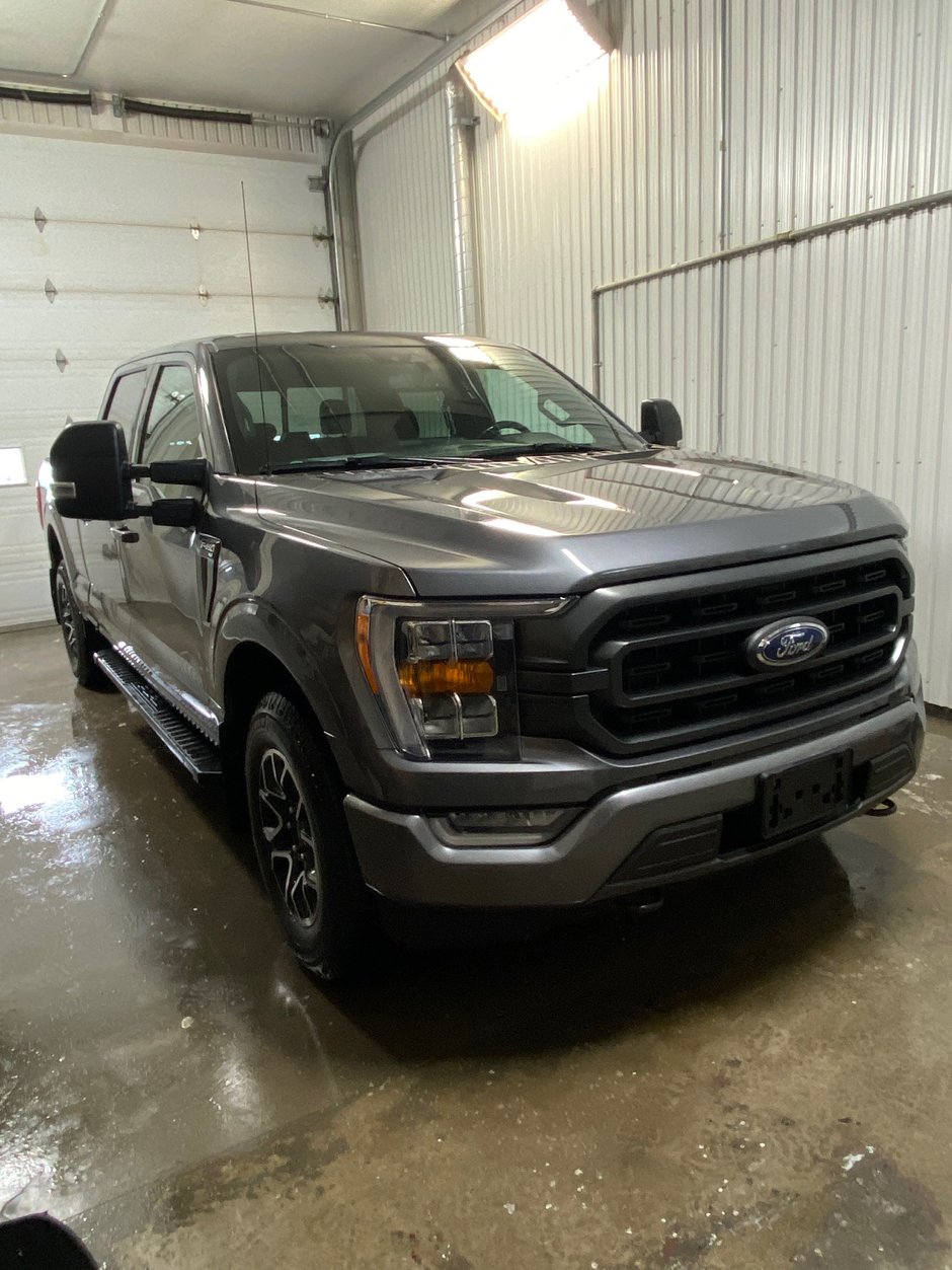 2021  F-150 in Bécancour (Gentilly Sector), Quebec