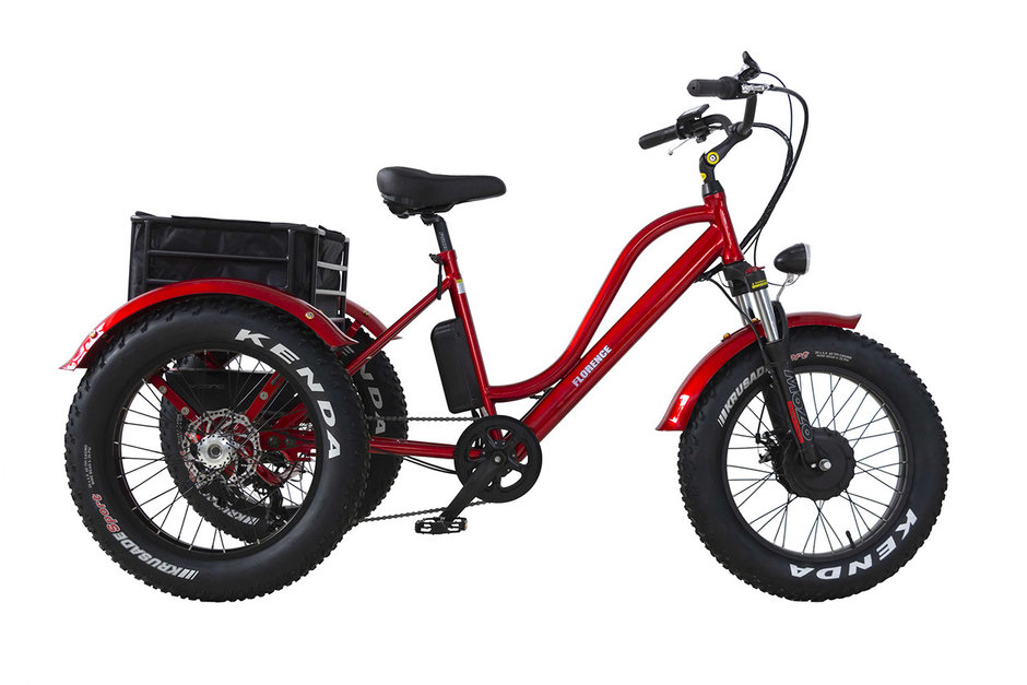 VÉLOS ÉLECTRIQUES DAYMAK FLORENCE FAT BIKE 2023-1
