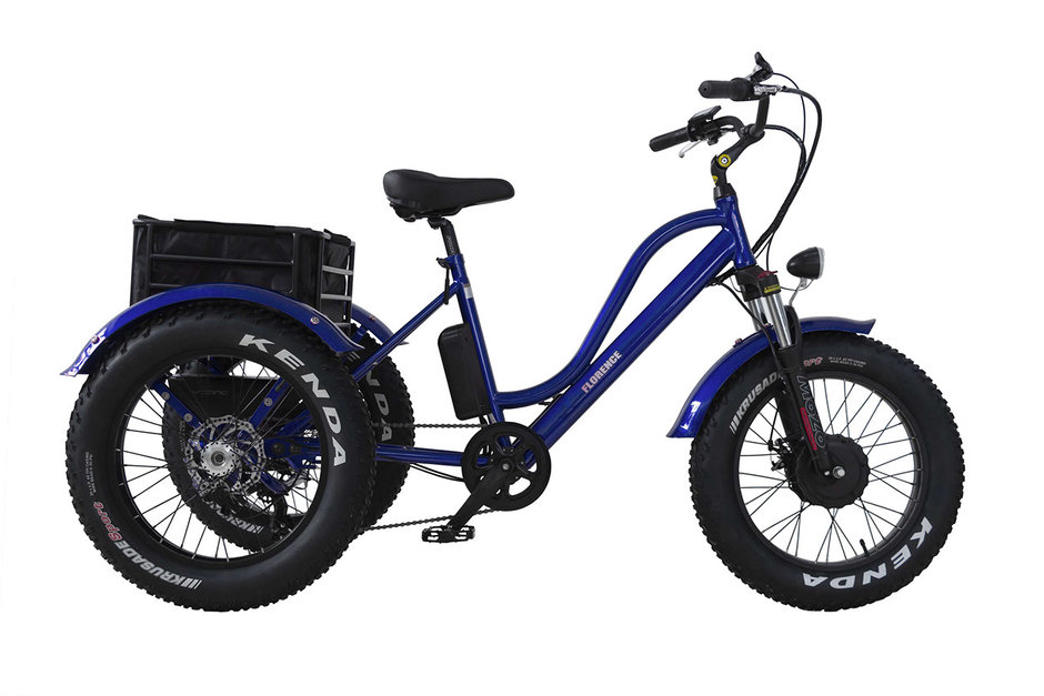 VÉLOS ÉLECTRIQUES DAYMAK FLORENCE FAT BIKE 2023-1