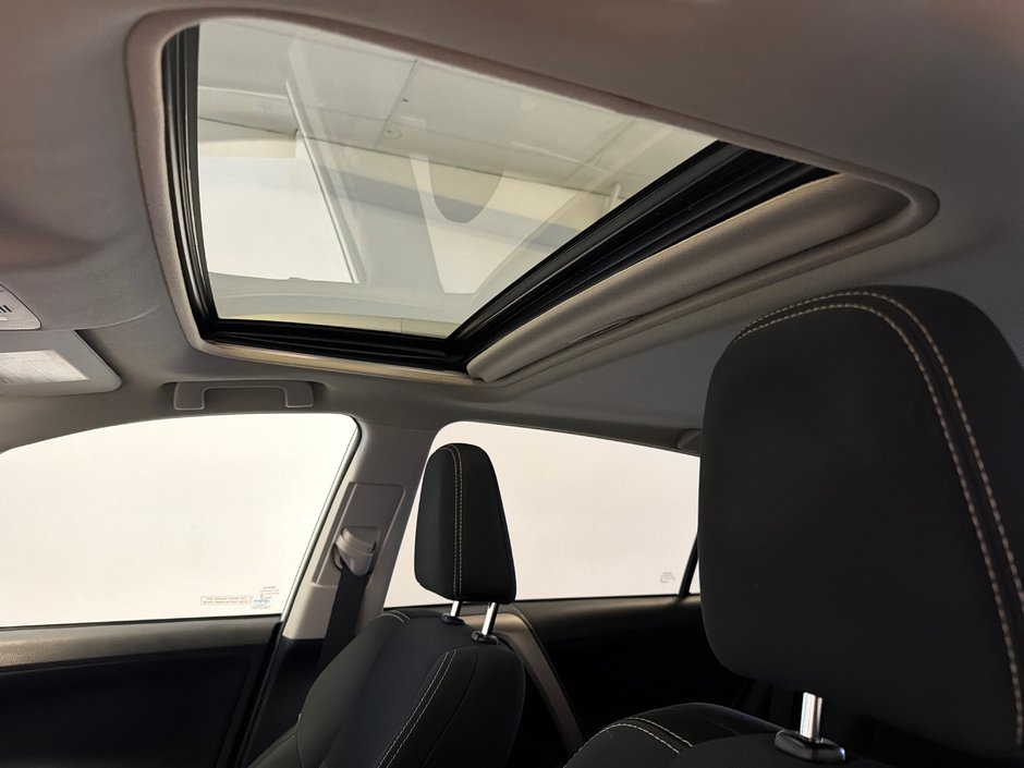 2014 Toyota RAV4 XLE-13