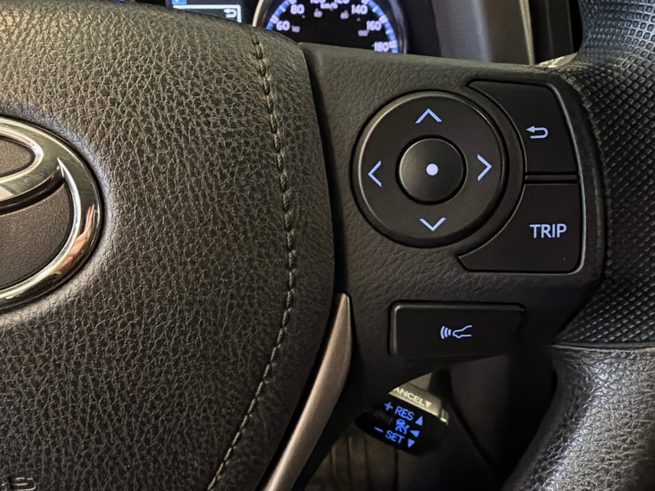 2017 Toyota RAV4 LE-29