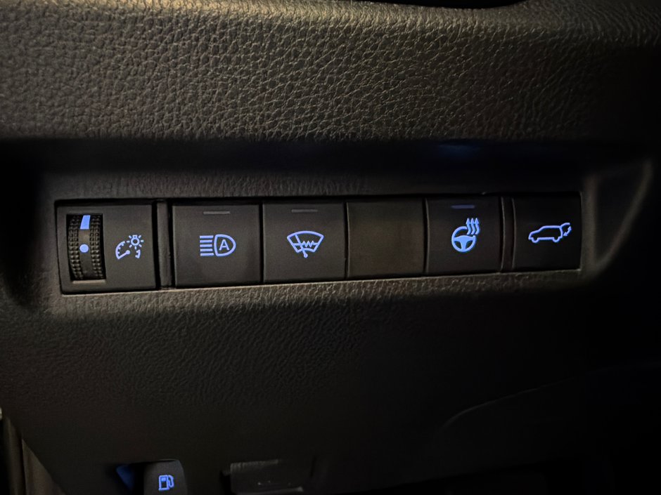 2019 Toyota RAV4 Hybrid XLE-31