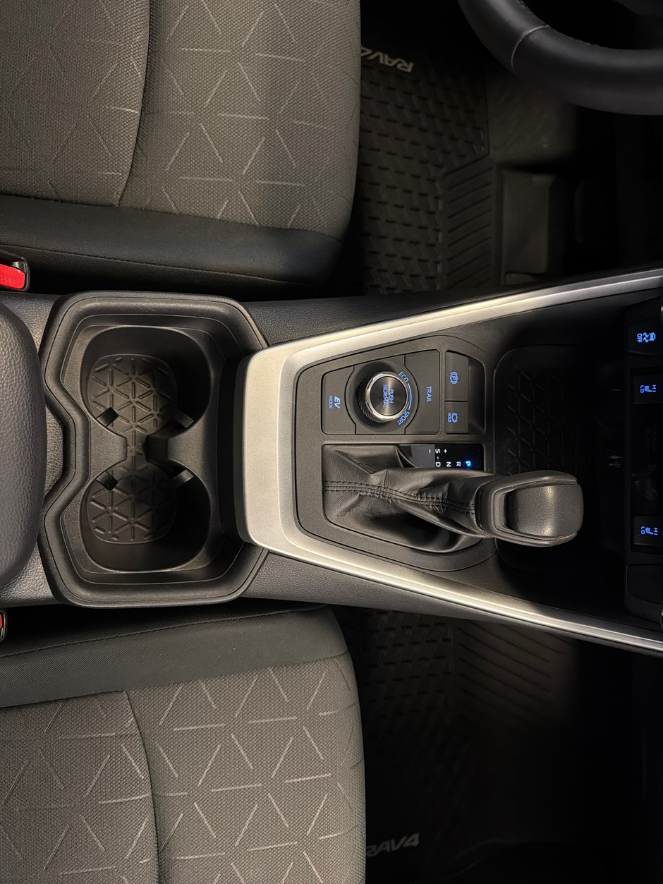 2019 Toyota RAV4 Hybrid XLE-19