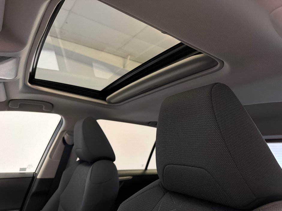 2019 Toyota RAV4 Hybrid XLE-13