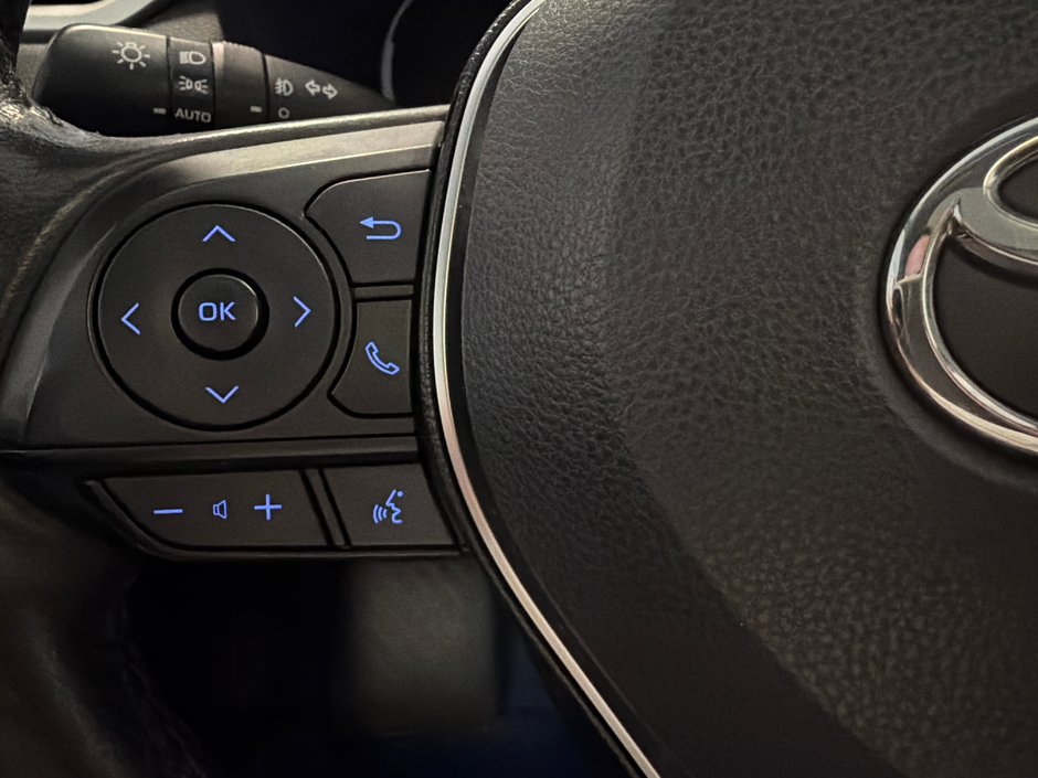 Toyota RAV4 Limited AWD *TRÈS BEAU VÉHICULE* 2020-28