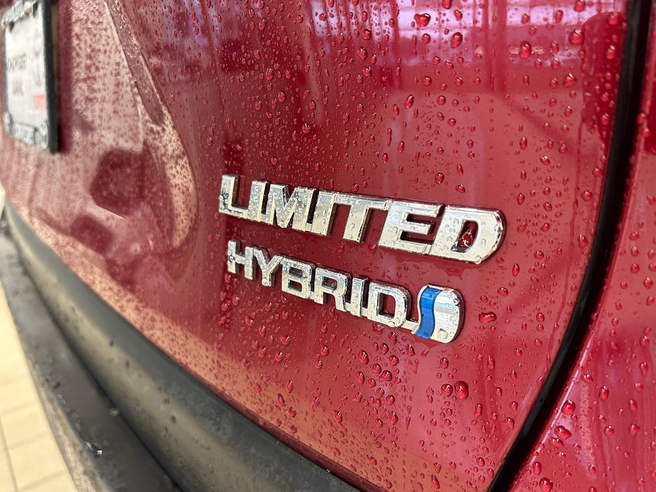 2021 Toyota RAV4 Hybrid Limited AWD-6