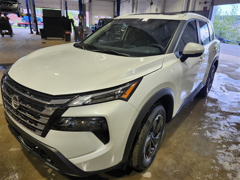 2024  Rogue SV Moonroof in Newfoundland and Labrador, Newfoundland and Labrador