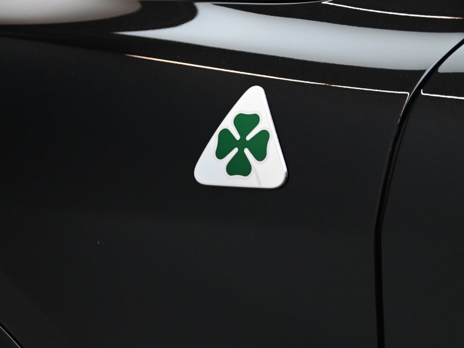2022 Alfa Romeo Stelvio Quadrifoglio-30
