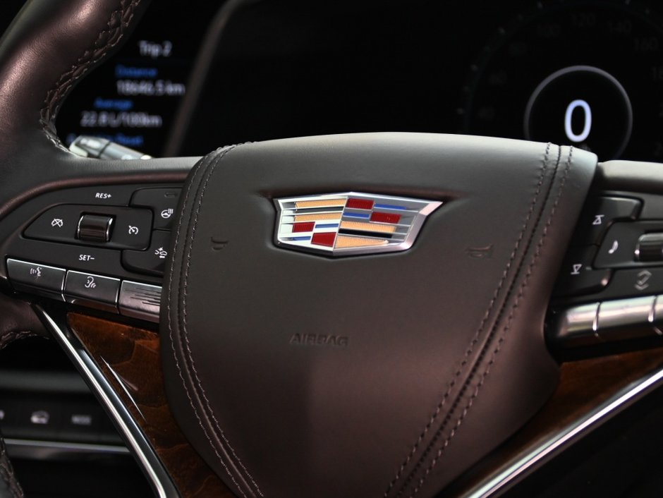 2022 Cadillac Escalade Sport Platinum-32