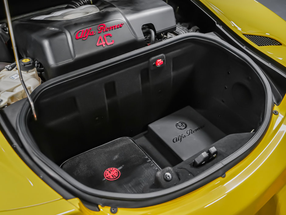 2016 Alfa Romeo 4C SPYDER-14