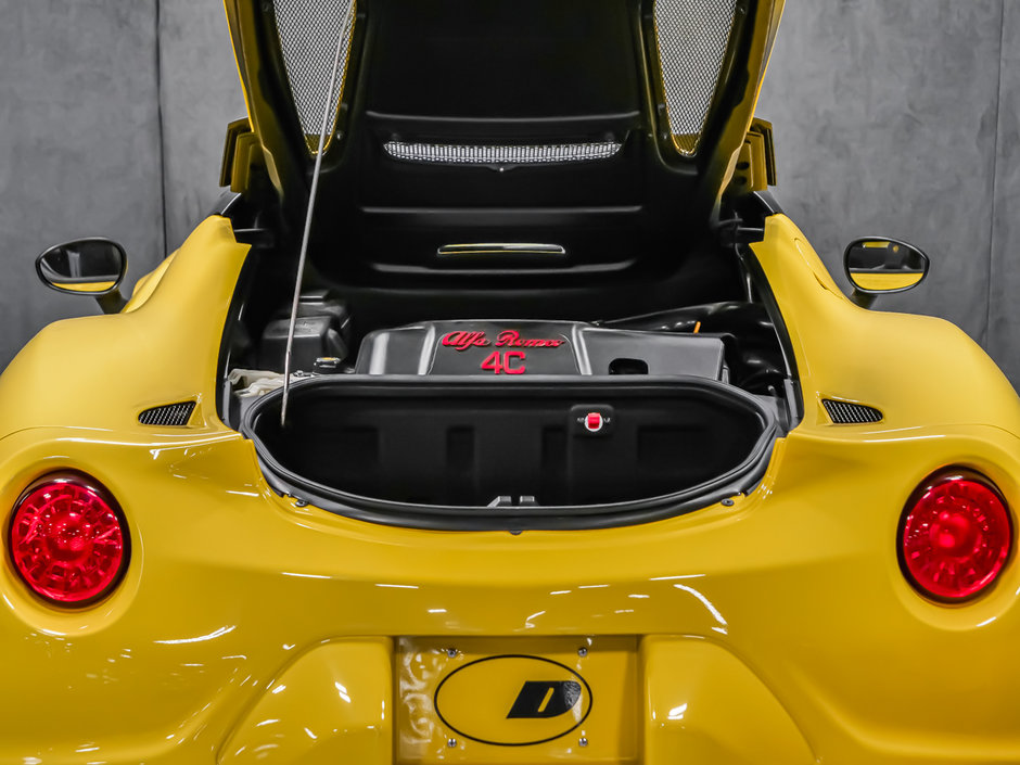 2016 Alfa Romeo 4C SPYDER-16