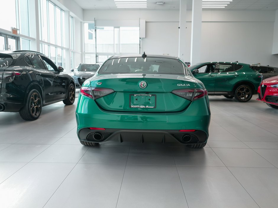 2025 Alfa Romeo Giulia Intensa-8