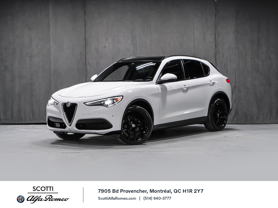 Alfa Romeo Stelvio TI SPORT ASSIST. DYNAMIC PLUS STATIC CONVENIENCE 2018-0
