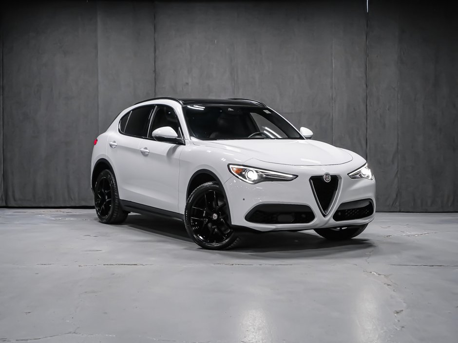 Alfa Romeo Stelvio TI SPORT ASSIST. DYNAMIC PLUS STATIC CONVENIENCE 2018-1