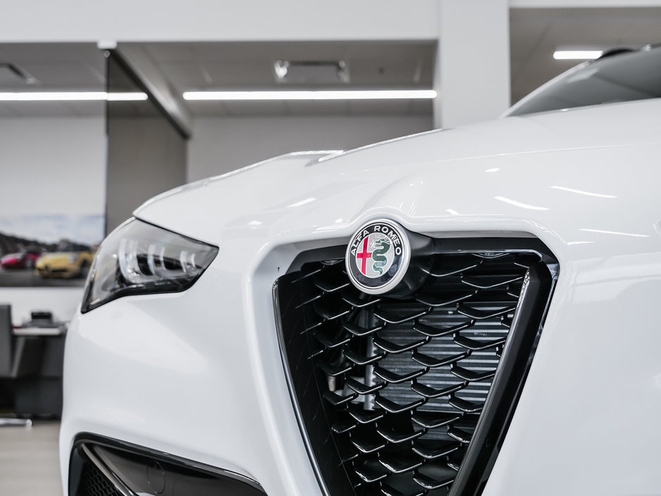 Alfa Romeo Windshield Sunshade Cover for Giulia, Stelvio, Giulietta, B –  JUSTQV™ • Automotive Brand •