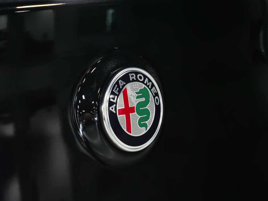 2025 Alfa Romeo Stelvio Intensa-12