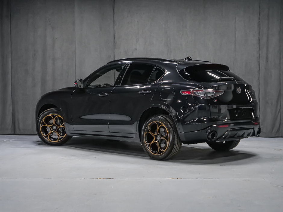 Alfa Romeo Stelvio  2025-5