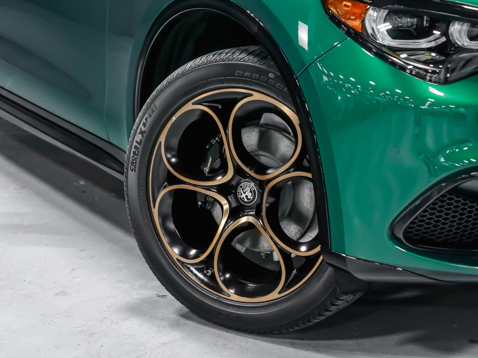 Alfa Romeo Stelvio Intensa 2025-22