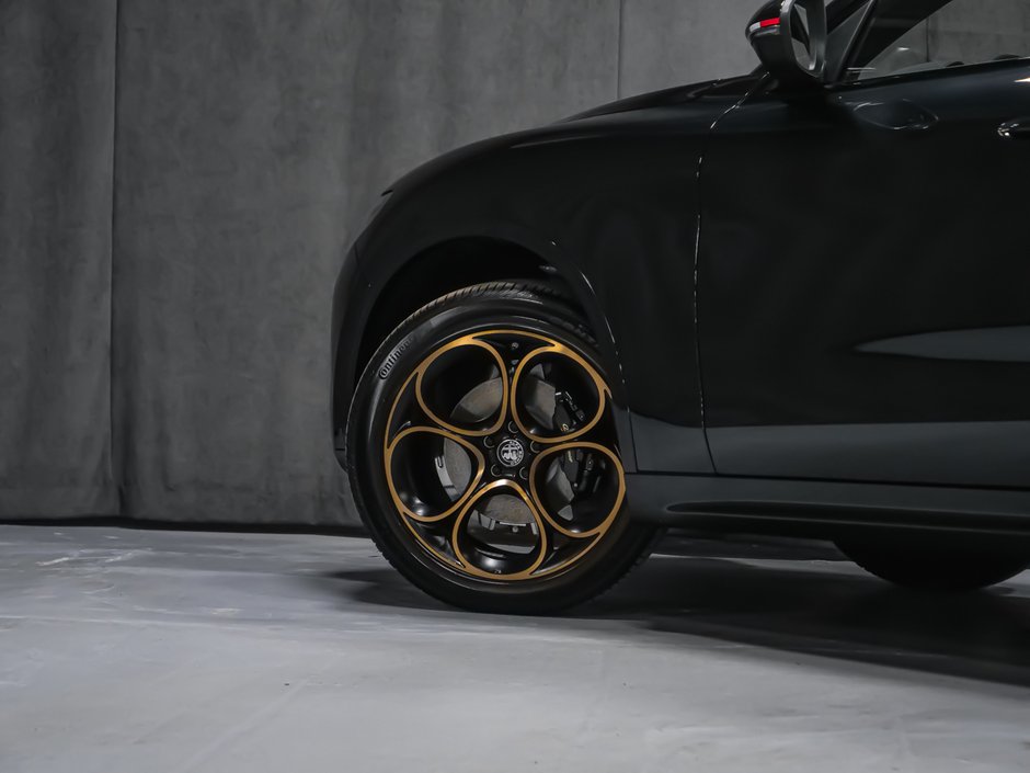 2025 Alfa Romeo STELVIO Intensa-6