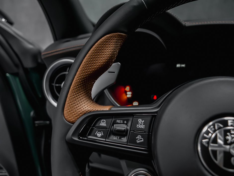 Alfa Romeo Stelvio Intensa 2025-21