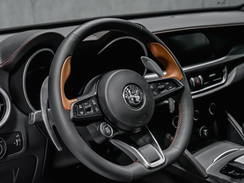 2025 Alfa Romeo Stelvio Intensa-13