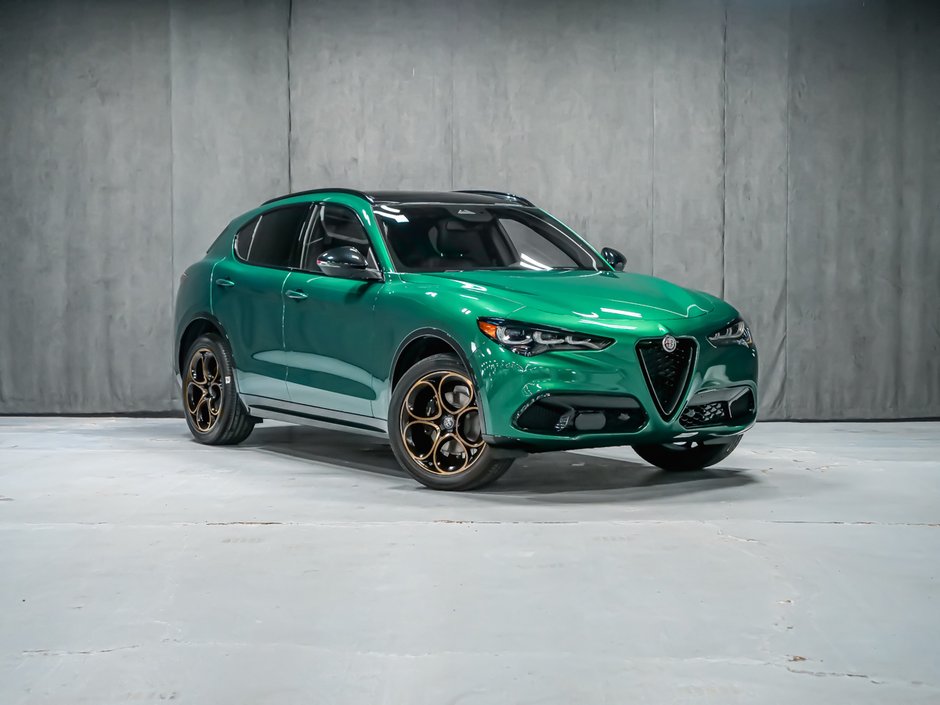 2025 Alfa Romeo Stelvio Intensa-1
