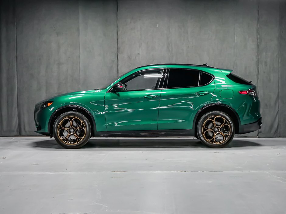 2025 Alfa Romeo Stelvio Intensa-2