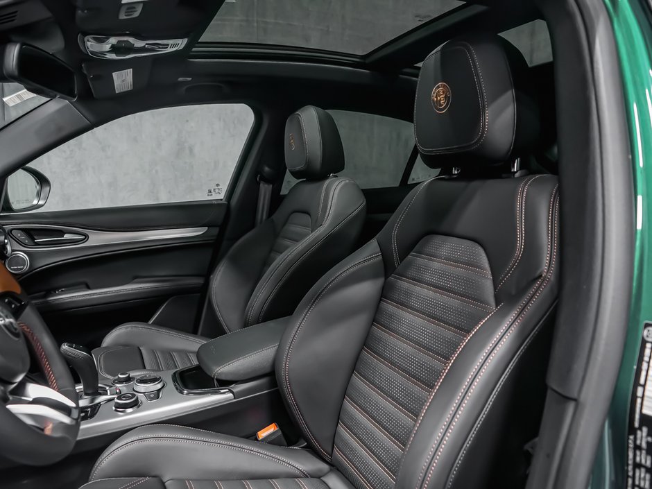 2025 Alfa Romeo Stelvio Intensa-27