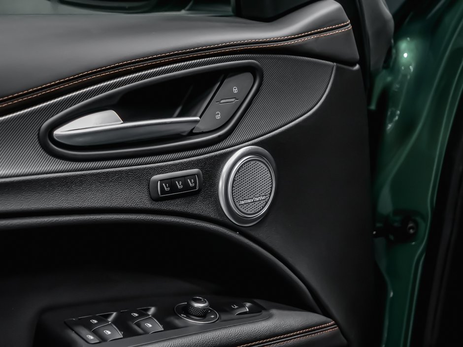 2025 Alfa Romeo Stelvio Intensa-14