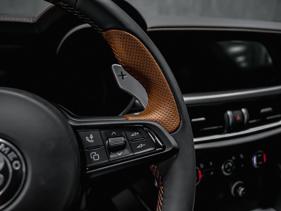 2025 Alfa Romeo Stelvio Intensa-20