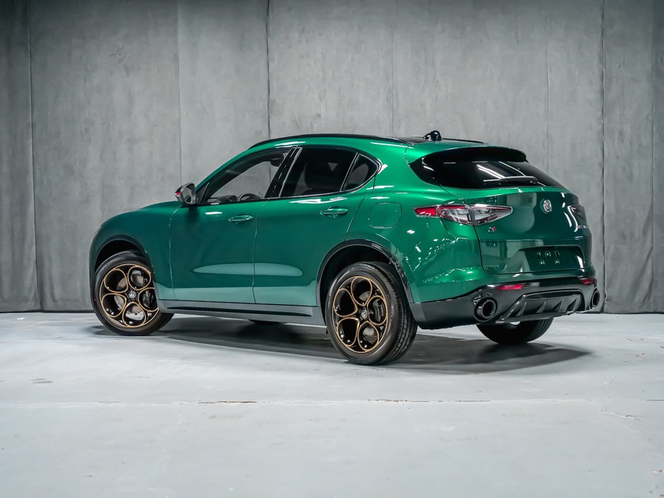 2025 Alfa Romeo Stelvio Intensa-4