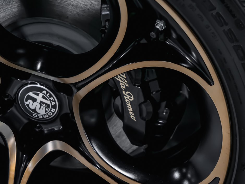 2025 Alfa Romeo Stelvio Intensa-25