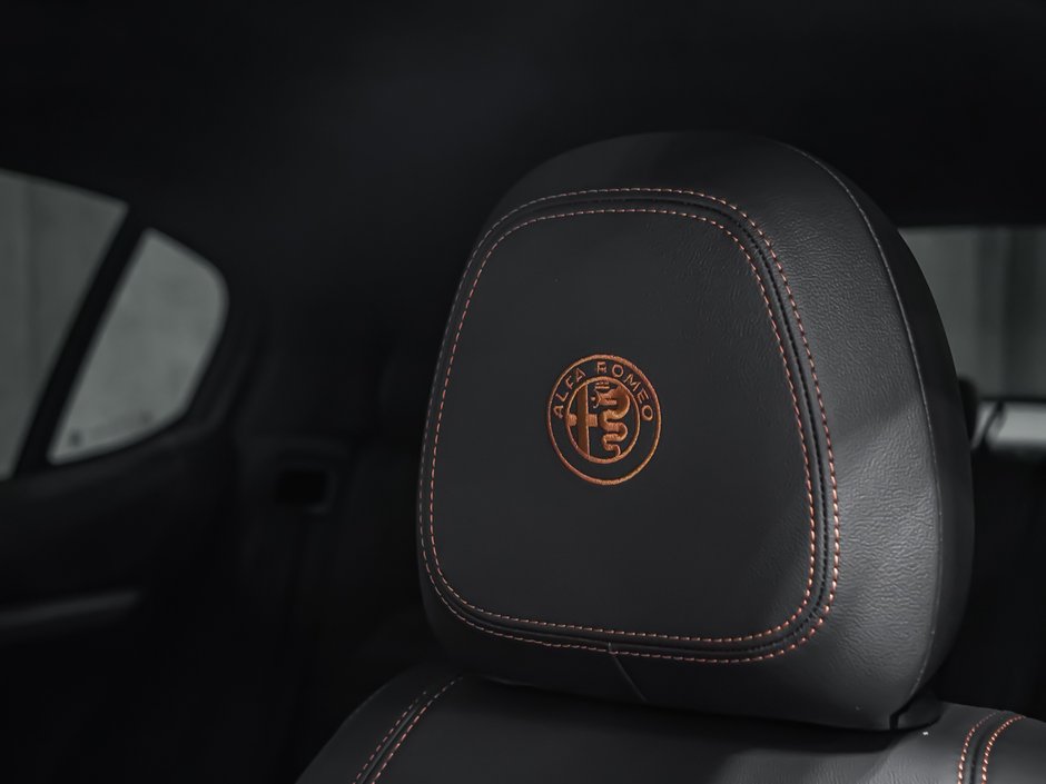 2025 Alfa Romeo Stelvio Intensa-35