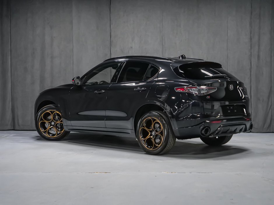 Alfa Romeo Stelvio Intensa 2025-4
