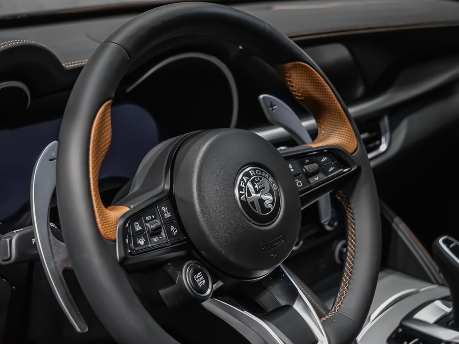 2025 Alfa Romeo Stelvio Intensa-13