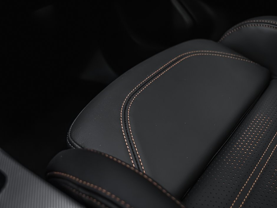 2025 Alfa Romeo Stelvio Intensa-18