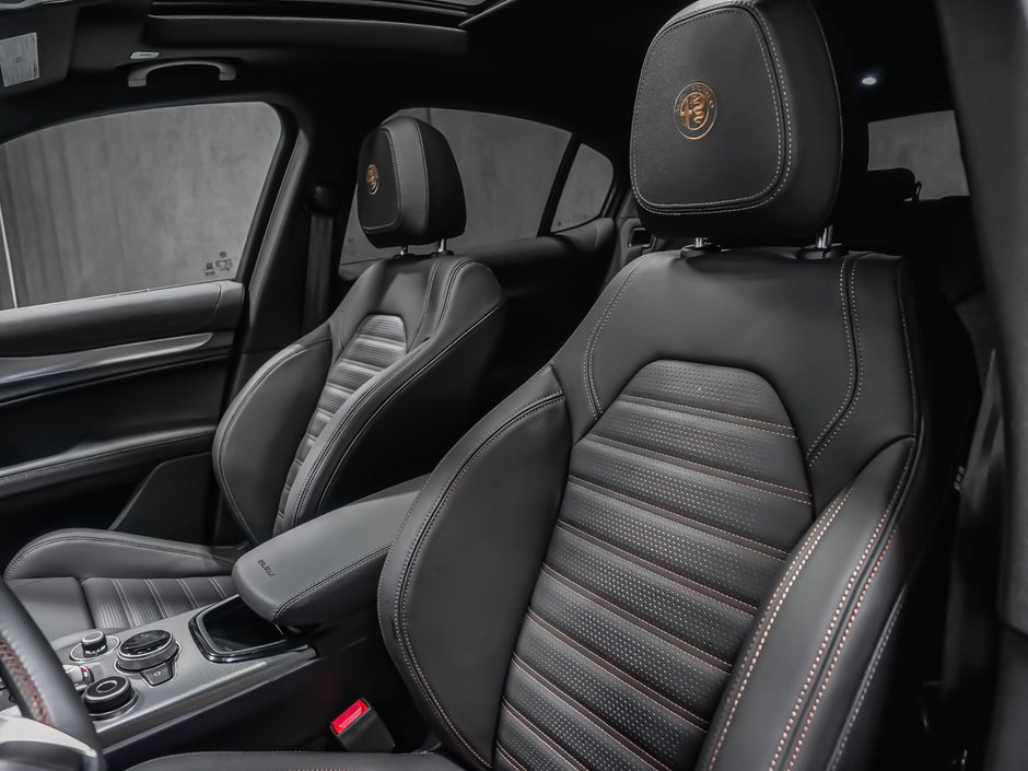 2025 Alfa Romeo Stelvio Intensa-22
