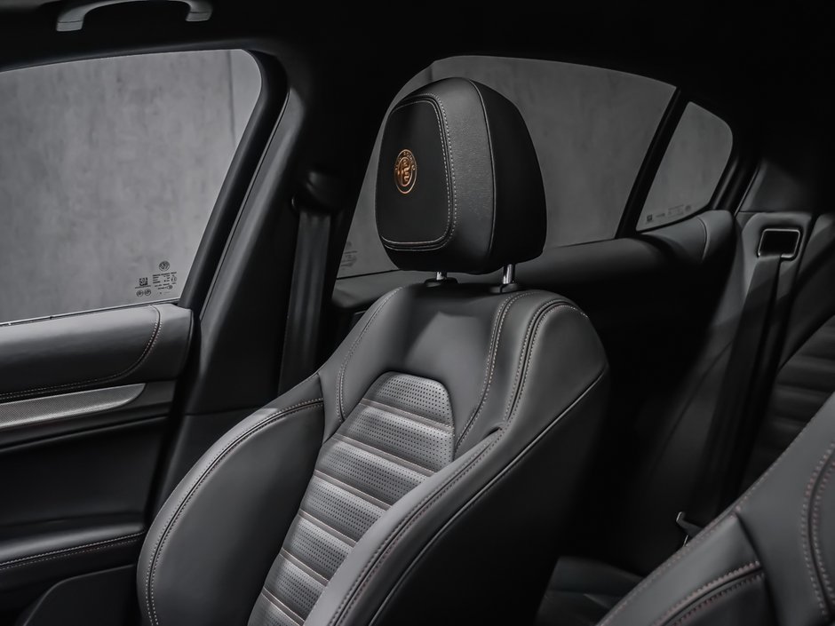 2025 Alfa Romeo Stelvio Intensa-24