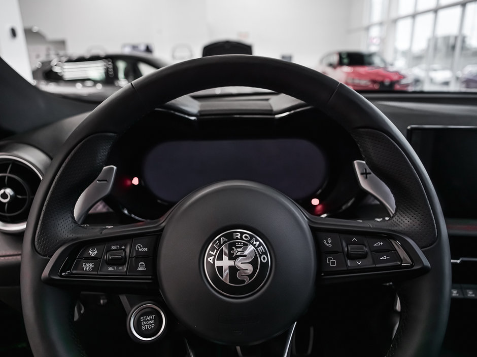 2025 Alfa Romeo TONALE PHEV TRIBUTO-34