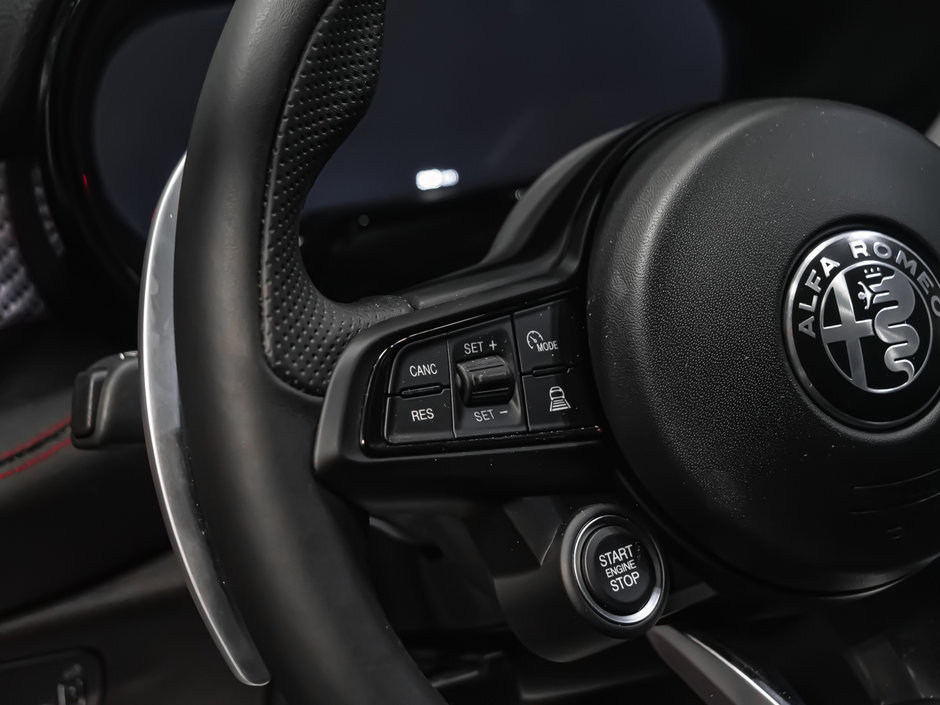 2025 Alfa Romeo TONALE PHEV TRIBUTO-16