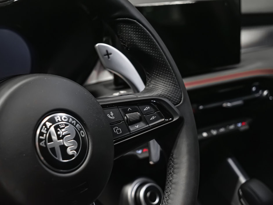 2025 Alfa Romeo TONALE PHEV TRIBUTO-15