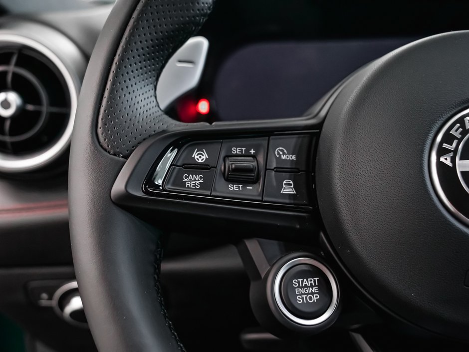 2025 Alfa Romeo Tonale PHEV TRIBUTO-32