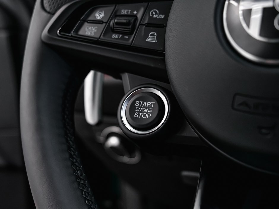 2025 Alfa Romeo Tonale PHEV TRIBUTO-33