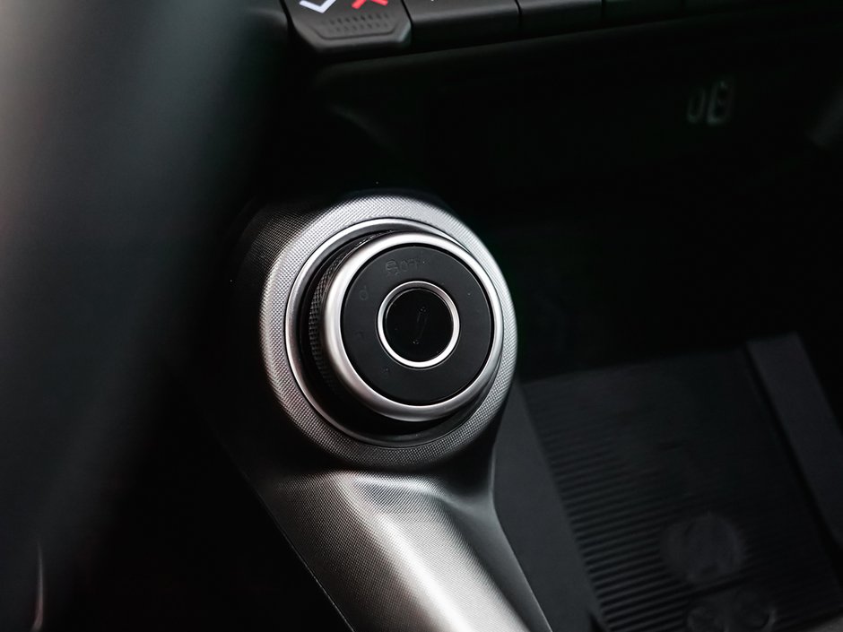 2025 Alfa Romeo Tonale PHEV TRIBUTO-37